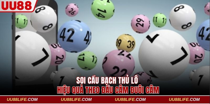 Gợi Ý Cách Đánh Bạch Thủ Lô Chuẩn Xác Với Tỷ Lệ Thắng 95% 4 Soi cầu bạch thủ lô hiệu quả theo đầu câm đuôi câm